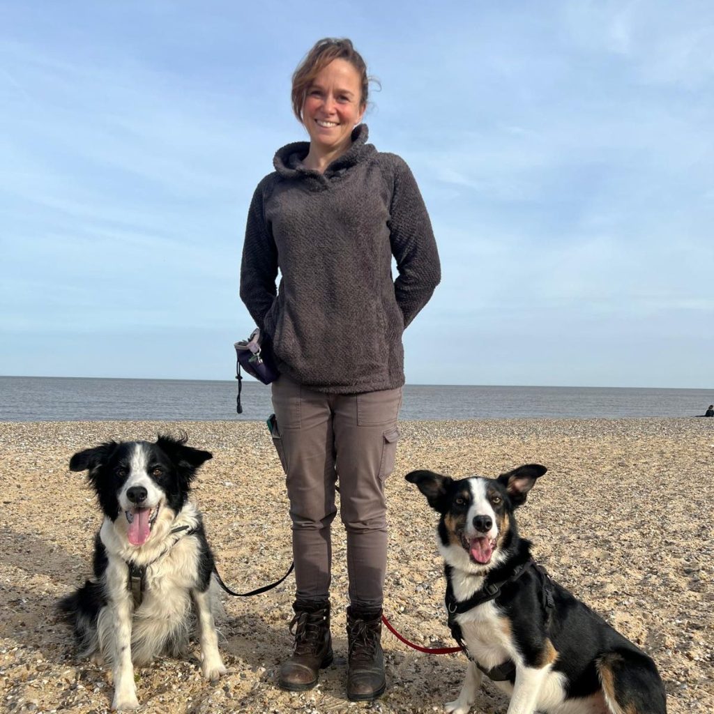 Clinical animal behaviourist on Norfolk beach with a Border collie and a Welsh collie